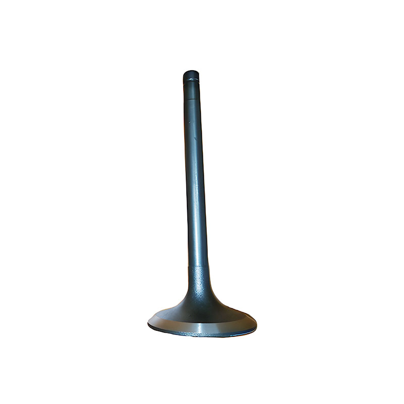 Exhaust Valve